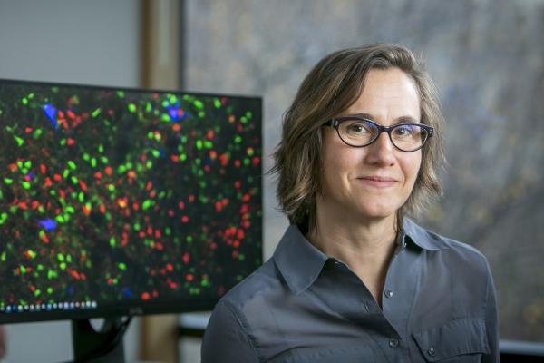 What Comes Next: Neuroscience