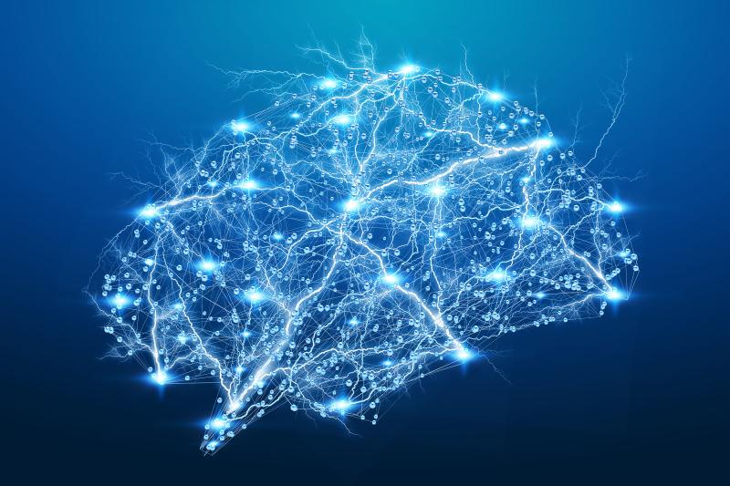 Neuroscientists Develop An AI Tool to Reveal the Brain’s Secrets