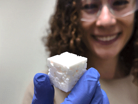 Predictions Under Pressure: Using AI to Study Porous Materials 